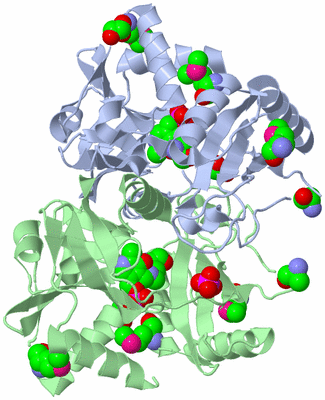 Image Asym./Biol. Unit