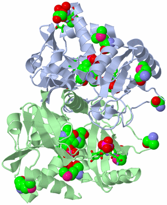 Image Asym./Biol. Unit - sites