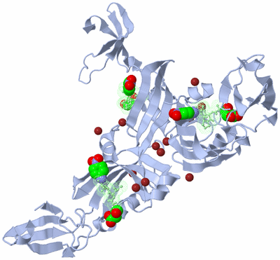 Image Biological Unit 2