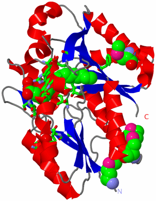 Image Asym./Biol. Unit - sites