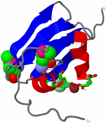 Image Asym./Biol. Unit - sites