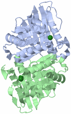 Image Asym./Biol. Unit