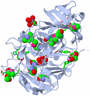 Image Biol. Unit 1 - sites