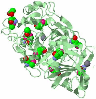 Image Biological Unit 2