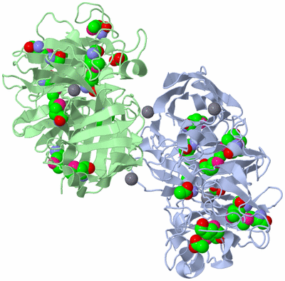 Image Biological Unit 3