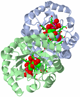 Image Asym./Biol. Unit - sites