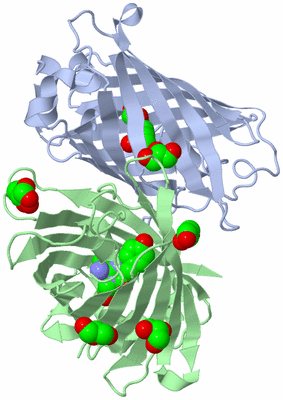 Image Biological Unit 1