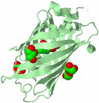 Image Biological Unit 3