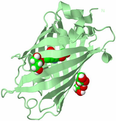 Image Biological Unit 3