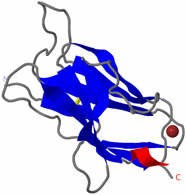 Image Asymmetric Unit