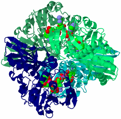 Image Asym./Biol. Unit