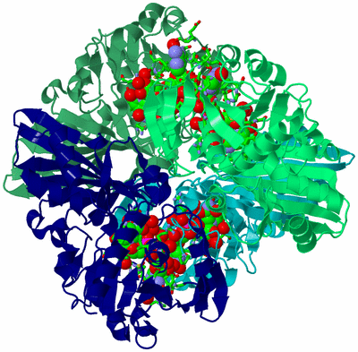 Image Asym./Biol. Unit - sites