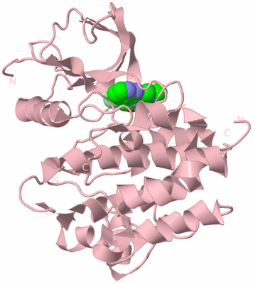 Image Biological Unit 3