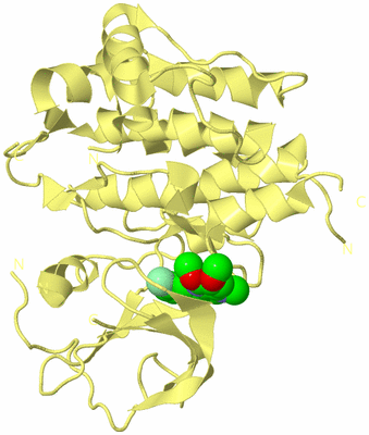 Image Biological Unit 4