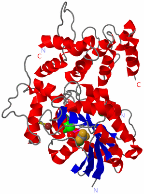 Image Asym./Biol. Unit