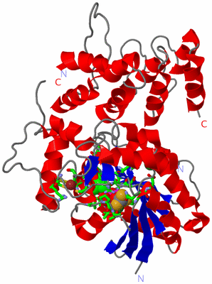 Image Asym./Biol. Unit - sites