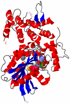 Image Asym./Biol. Unit