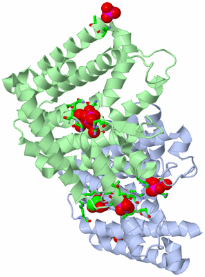 Image Asym./Biol. Unit - sites