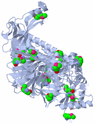 Image Biol. Unit 1 - sites