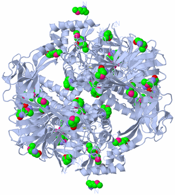 Image Biological Unit 2