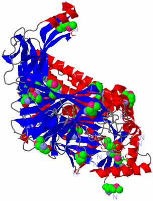 Image Asym. Unit - sites