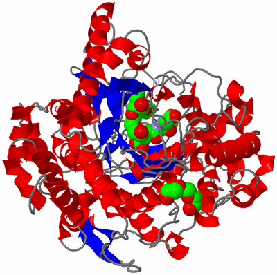 Image Asym./Biol. Unit