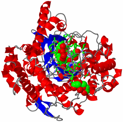 Image Asym./Biol. Unit - sites