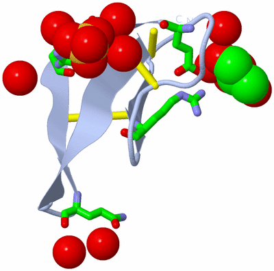 Image Biol. Unit 1 - sites