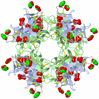 Image Biological Unit 3