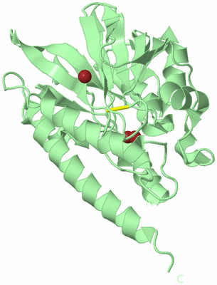 Image Biological Unit 2