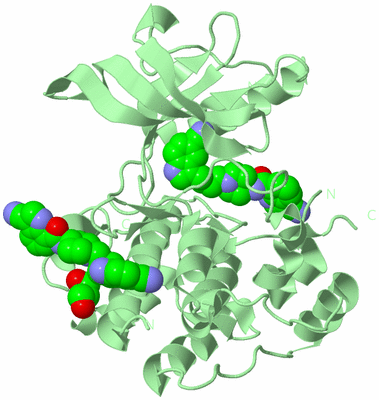 Image Biological Unit 2