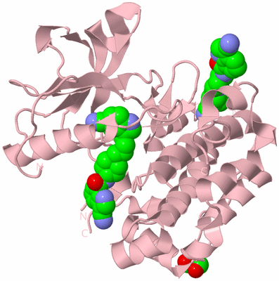 Image Biological Unit 3