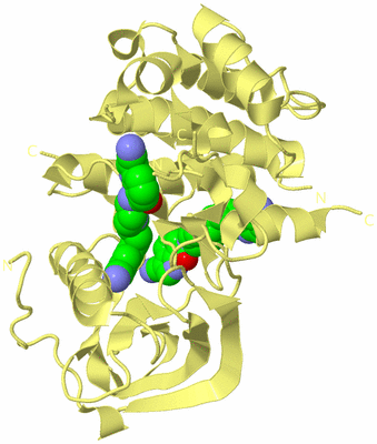 Image Biological Unit 4