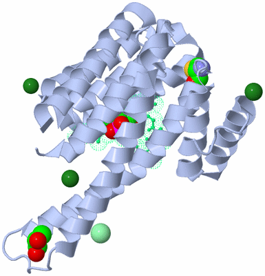 Image Asymmetric Unit