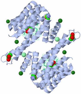 Image Biological Unit 1