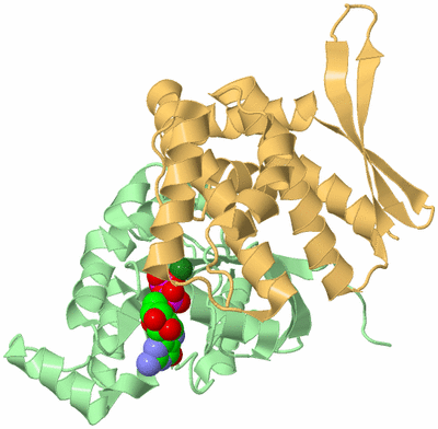 Image Biological Unit 2