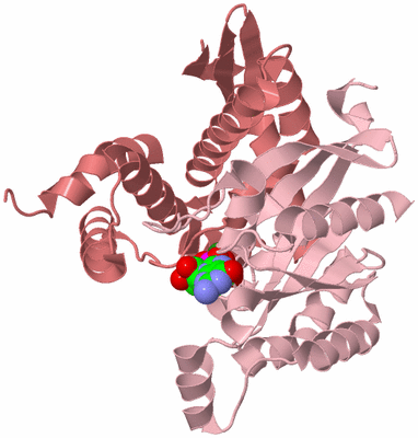 Image Biological Unit 3