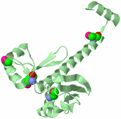 Image Biological Unit 2