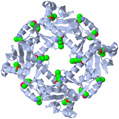 Image Biological Unit 3