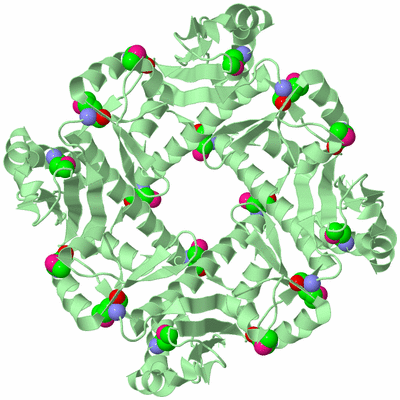 Image Biological Unit 4