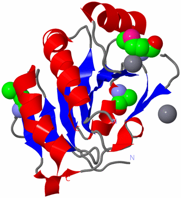 Image Asym./Biol. Unit