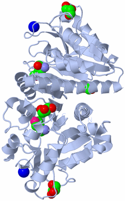 Image Biological Unit 1