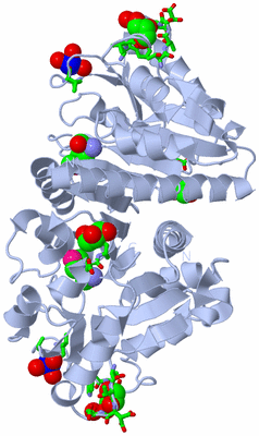 Image Biol. Unit 1 - sites