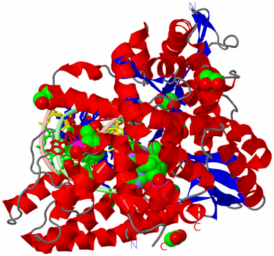 Image Asym./Biol. Unit