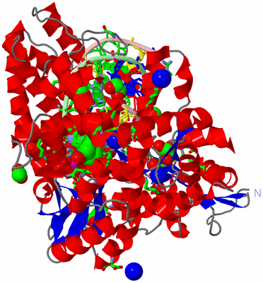 Image Asym./Biol. Unit - sites