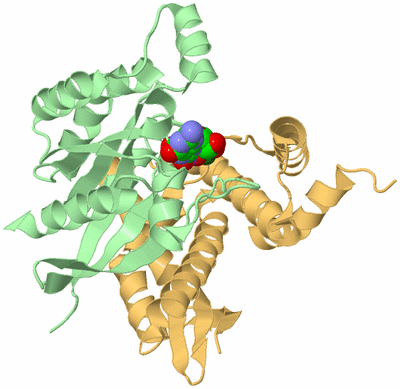 Image Biological Unit 2