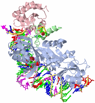 Image Asym./Biol. Unit - sites