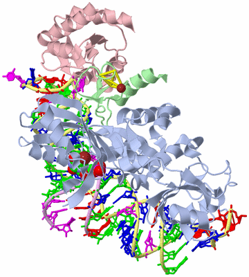 Image Asym./Biol. Unit