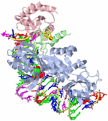 Image Asym./Biol. Unit