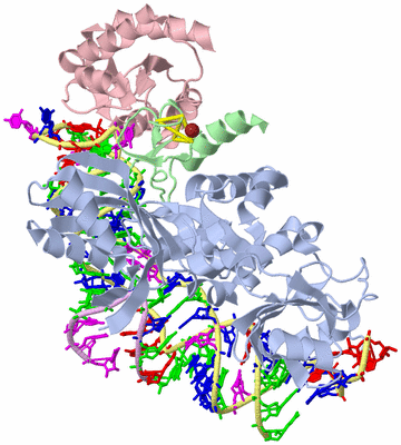 Image Asym./Biol. Unit